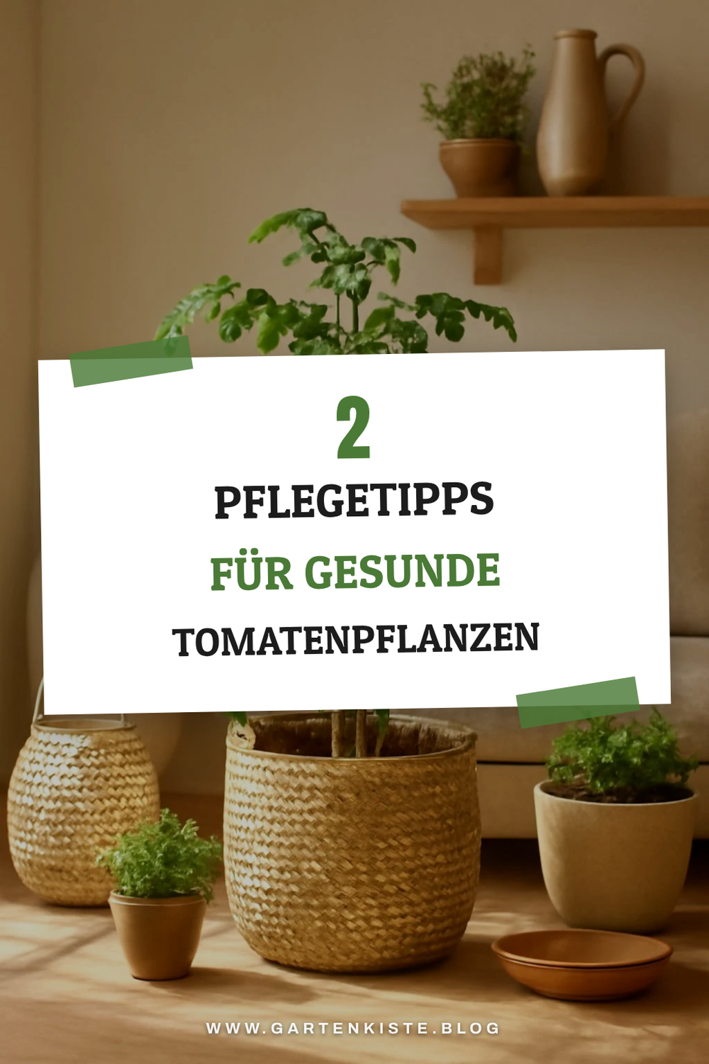 Die richtige Pflege für Tomatenpflanzen