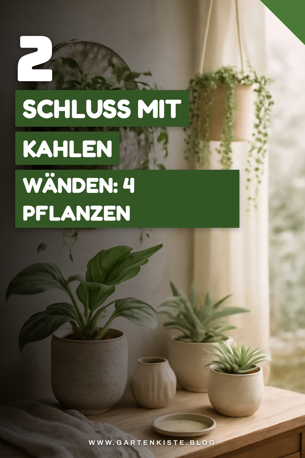 Pflanzen für schattige Wände auswählen