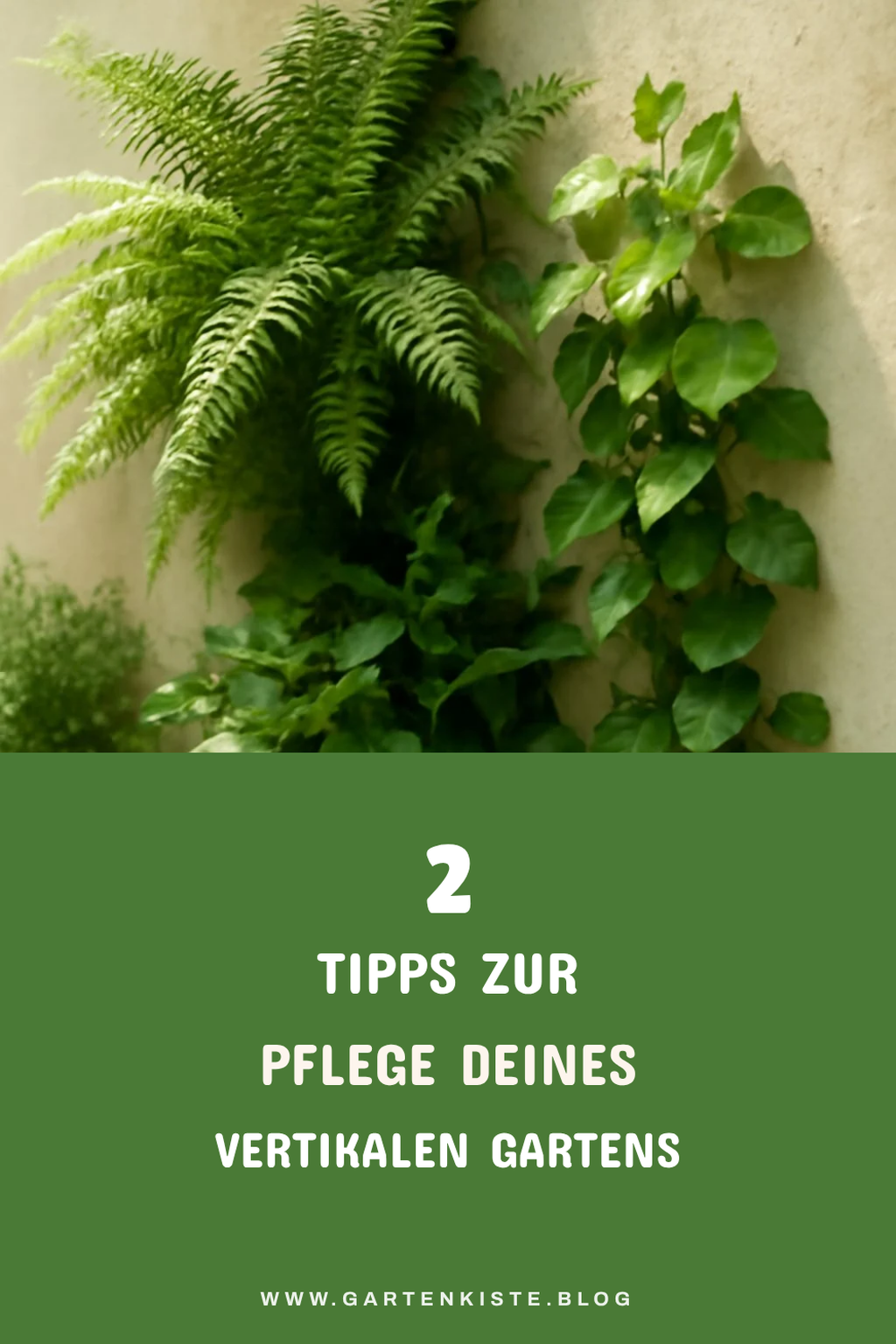 Pflege für deinen vertikalen Garten