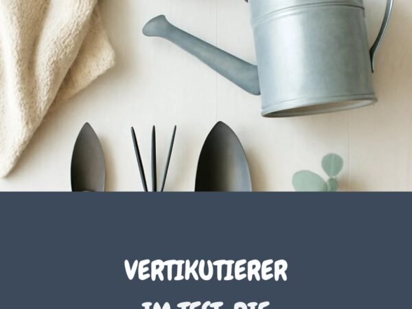 Vertikutierer im Test: Die 6 besten für einen dichten Rasen