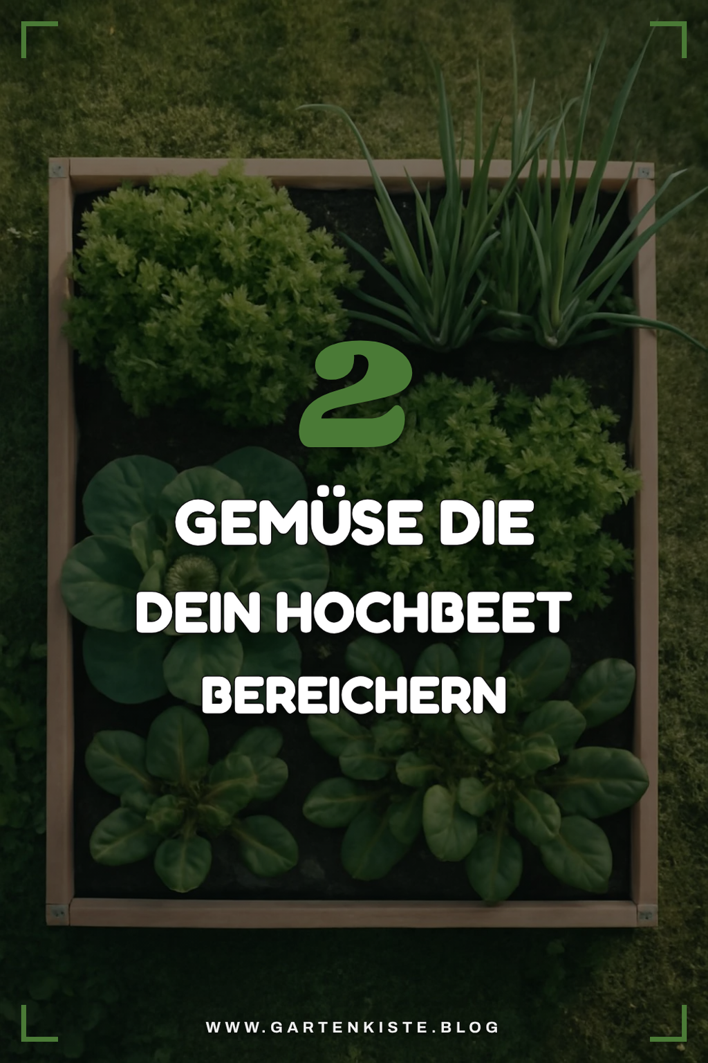 Diese 5 Gemüse passen perfekt ins Hochbeet