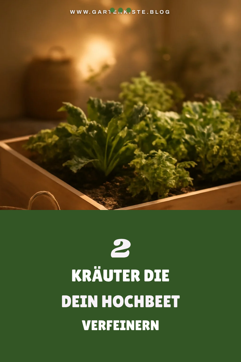 Diese 4 Kräuter bereichern dein Hochbeet