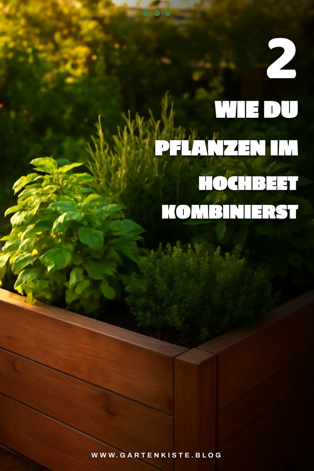 So kombinierst du Pflanzen im Hochbeet