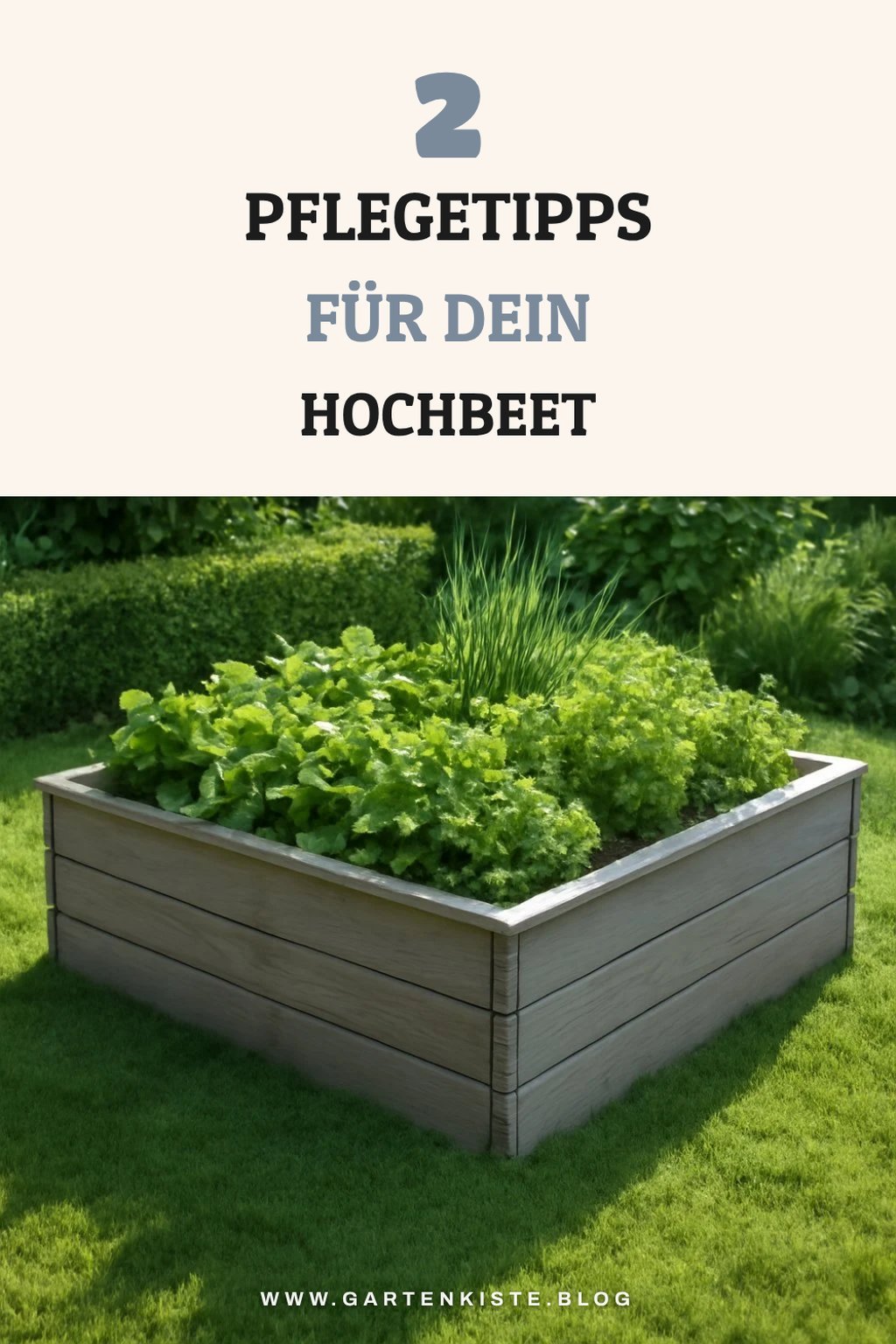 Tipps zur Pflege deines Hochbeets