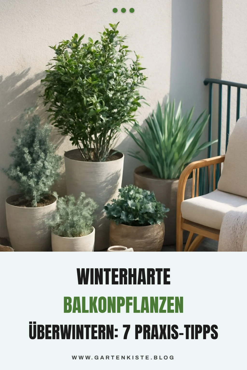 Winterharte Balkonpflanzen überwintern: 7 Praxis-Tipps