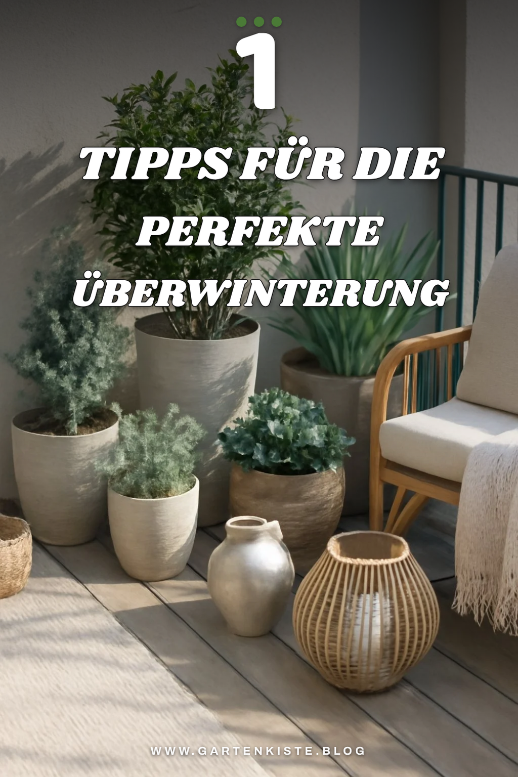 Mehr Empfehlungen aus dieser Kategorie
