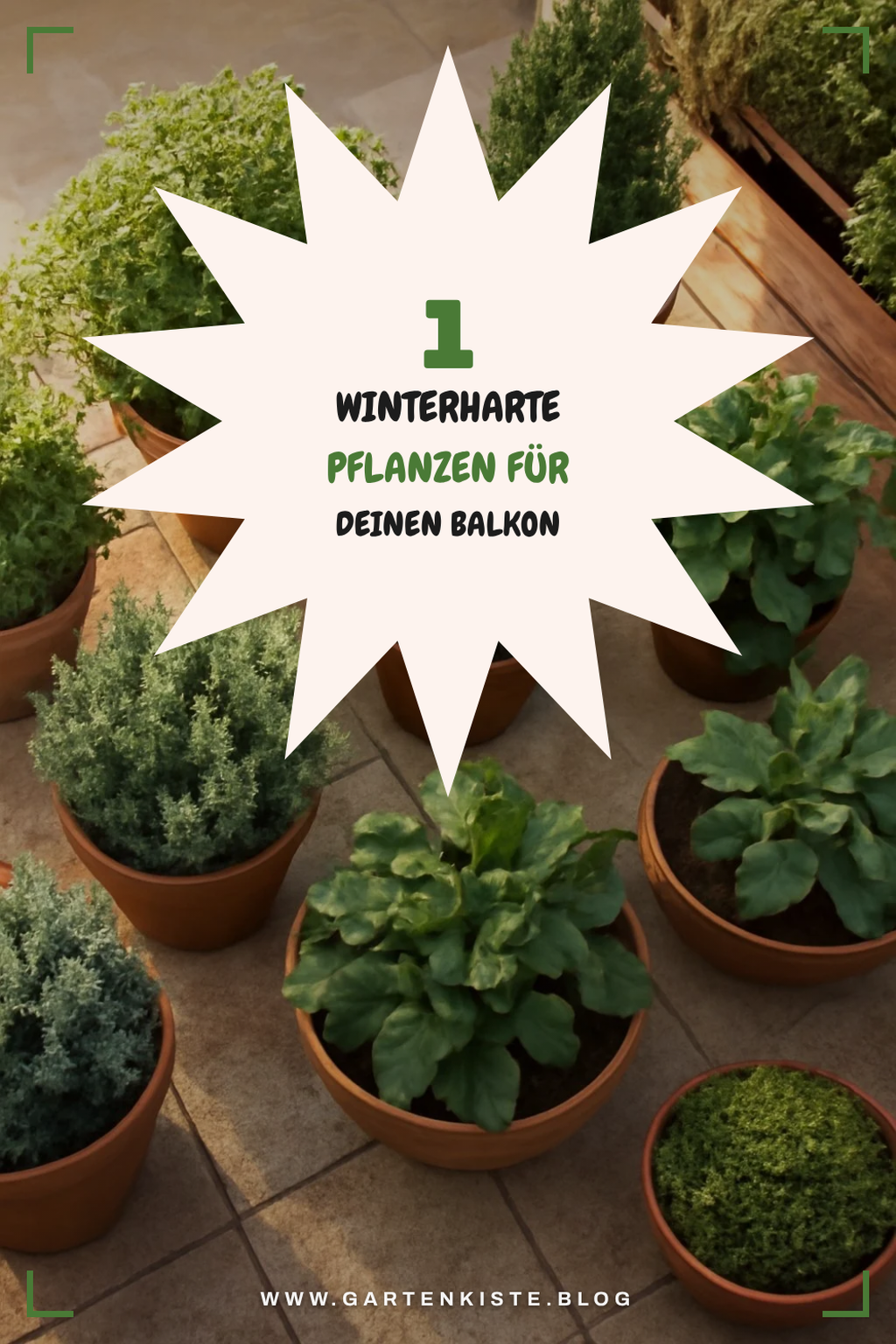 Die besten Pflanzen für den Winter