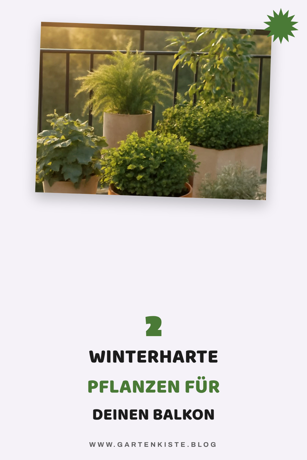 Diese 2 Picks lohnen sich extra