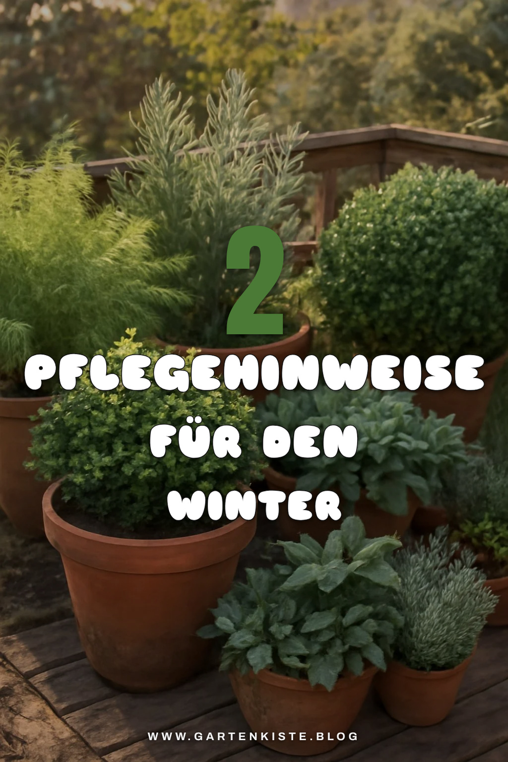 Pflege während der Wintermonate