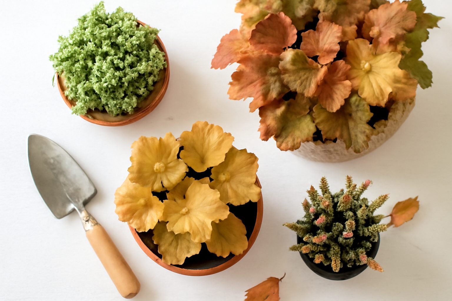 17 winterharte pflanzen im Herbst pflanzen, die inspirieren