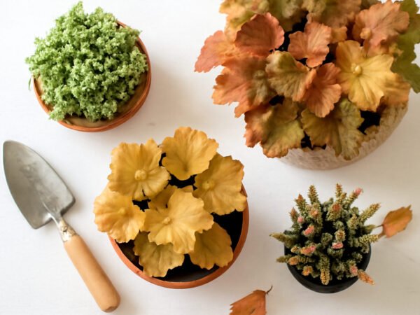 17 winterharte pflanzen im Herbst pflanzen, die inspirieren
