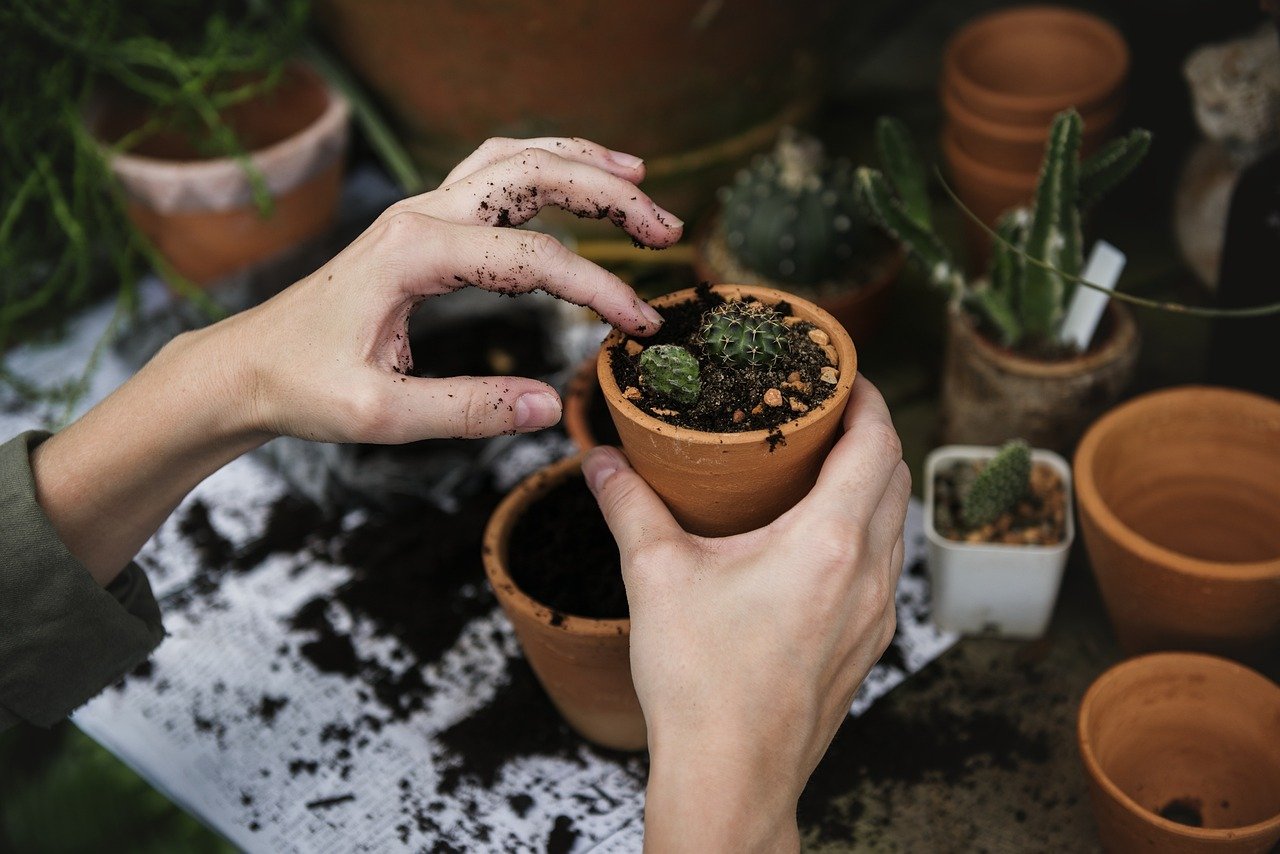 Blumenkasten bepflanzen: Ideen mit Bildern