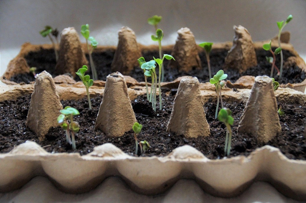 So wird dein Blumenkasten einzigartig und blühend