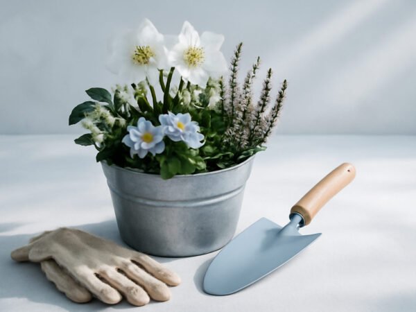 Christrose pflanzen und pflegen im Winter