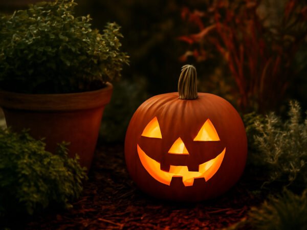 Halloween Deko am Gartenzaun Befestigen