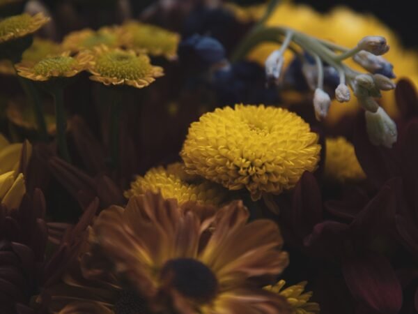 Herbst-Gartendeko im Pinterest-Stil