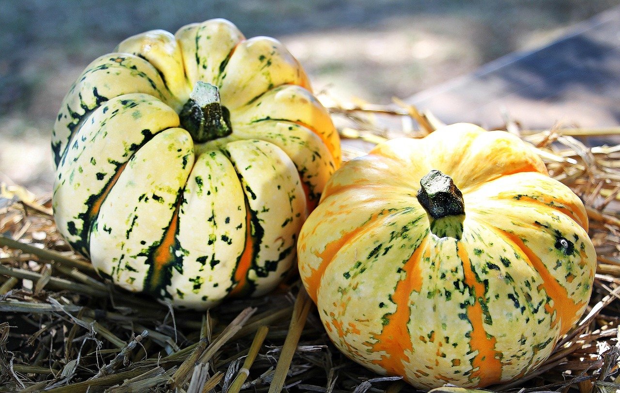 Herbstbepflanzung für Balkonkästen: die schönsten Ideen
