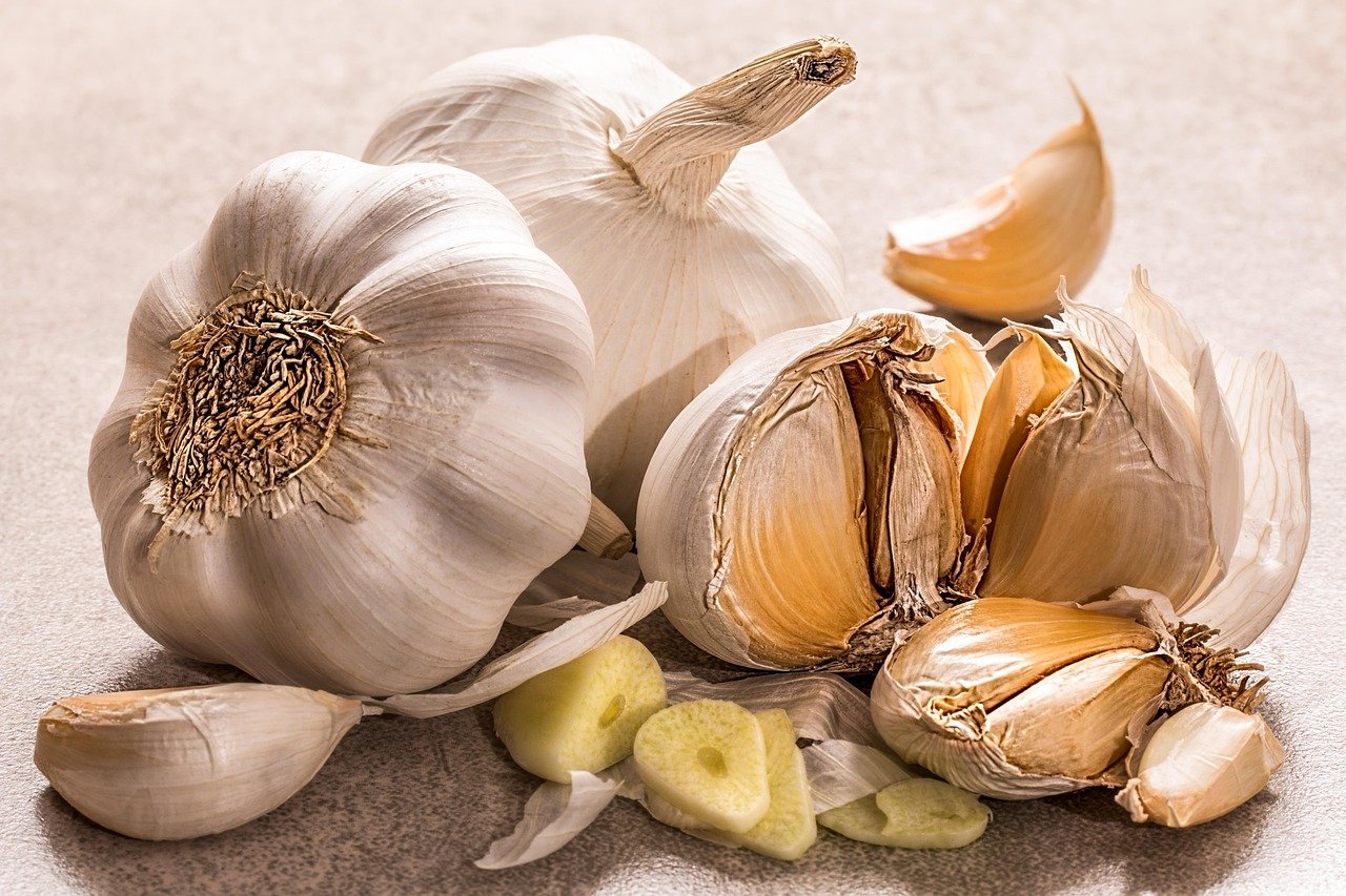 Knoblauch Stecken im Herbst Anleitung in 4 Schritten