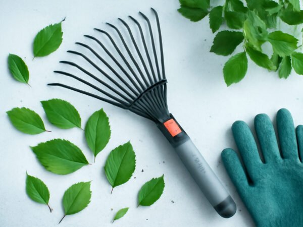 Laub Steingarten entfernen — woran es meistens liegt