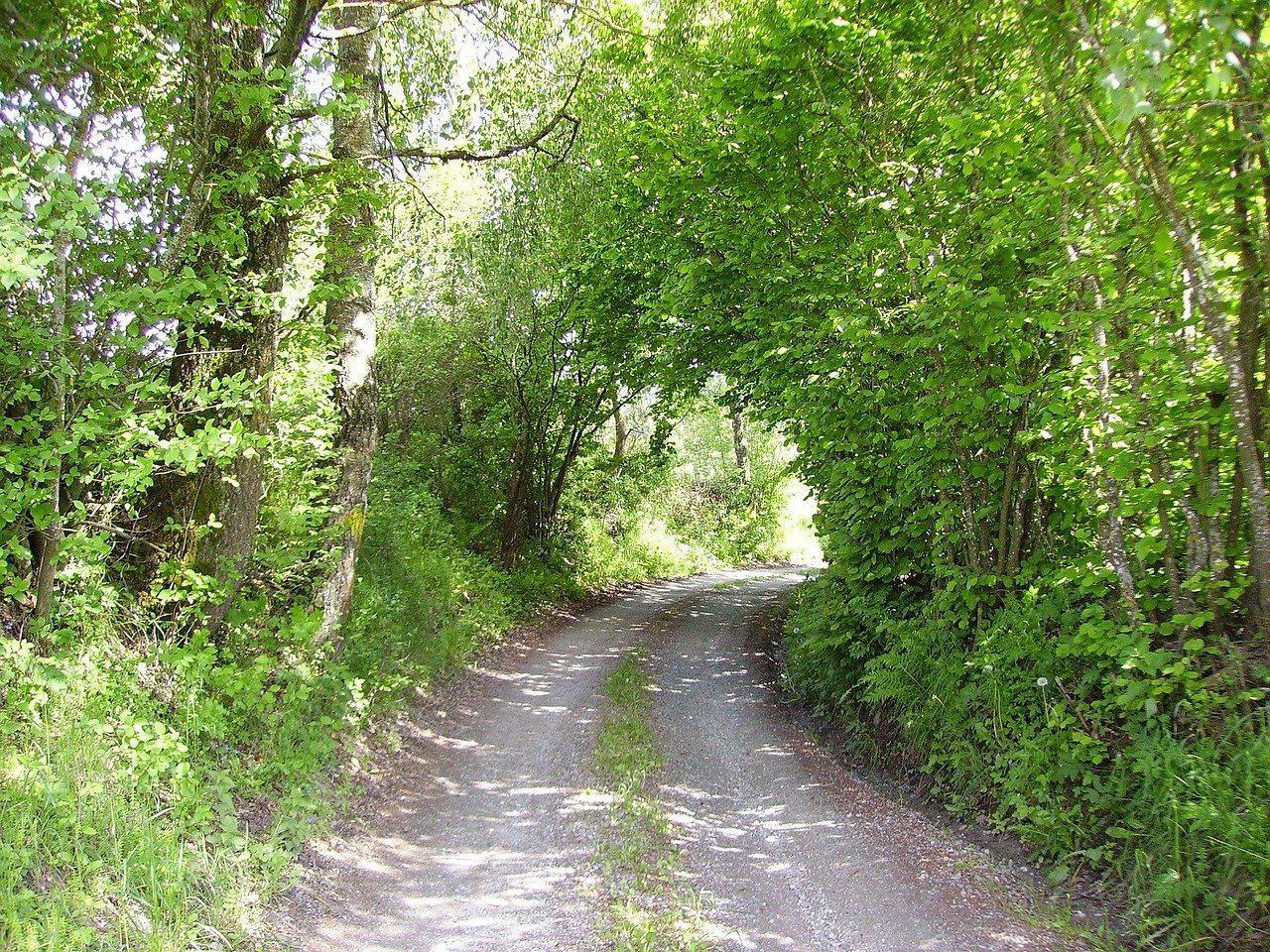 Laub vom Kiesweg entfernen: was wirklich hilft — Hero-Aufnahme