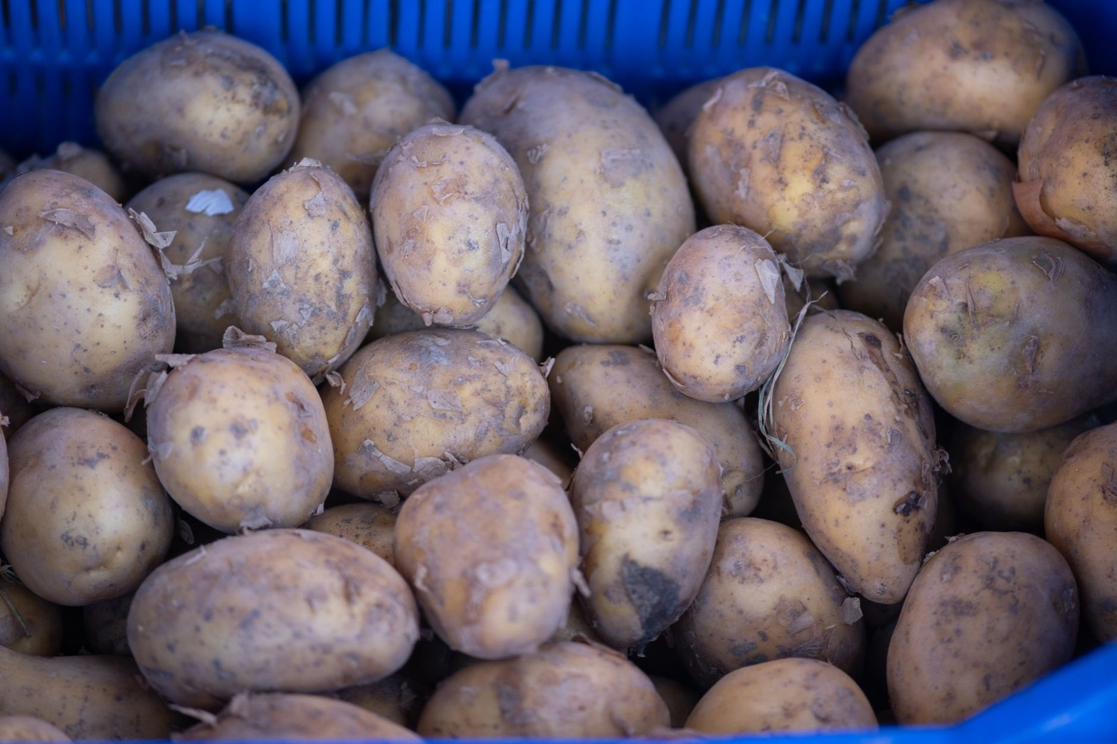Laub von Kartoffeln entfernen: was wirklich hilft — Hero-Aufnahme