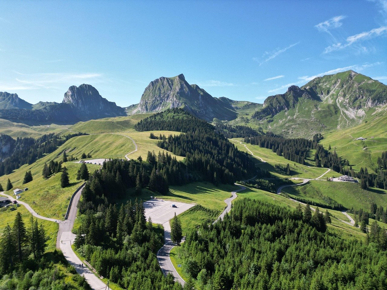 Pflanzen überwintern Bern gelingt auch beim ersten Mal