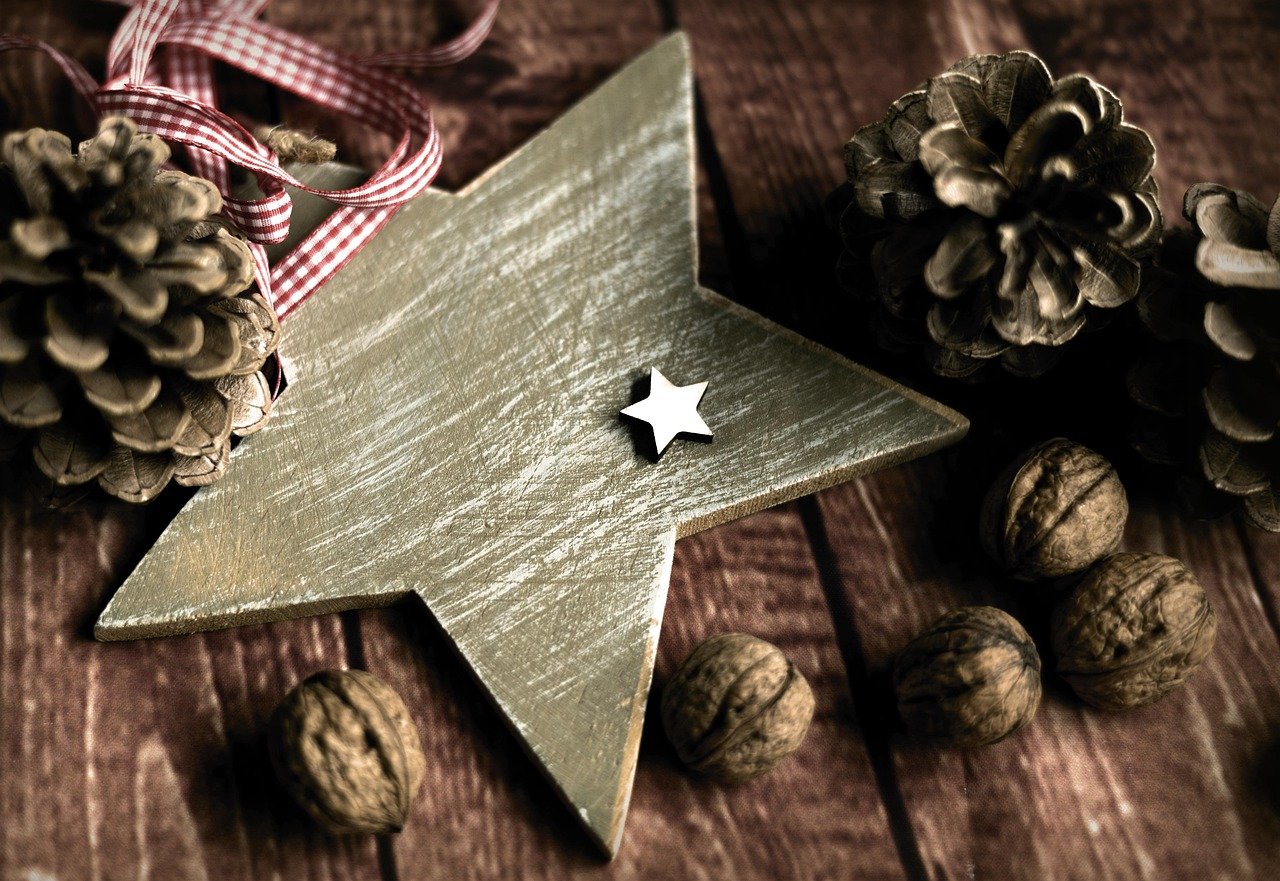 Pflege Weihnachtsstern im Topf wie Oft gießen — Hero-Aufnahme