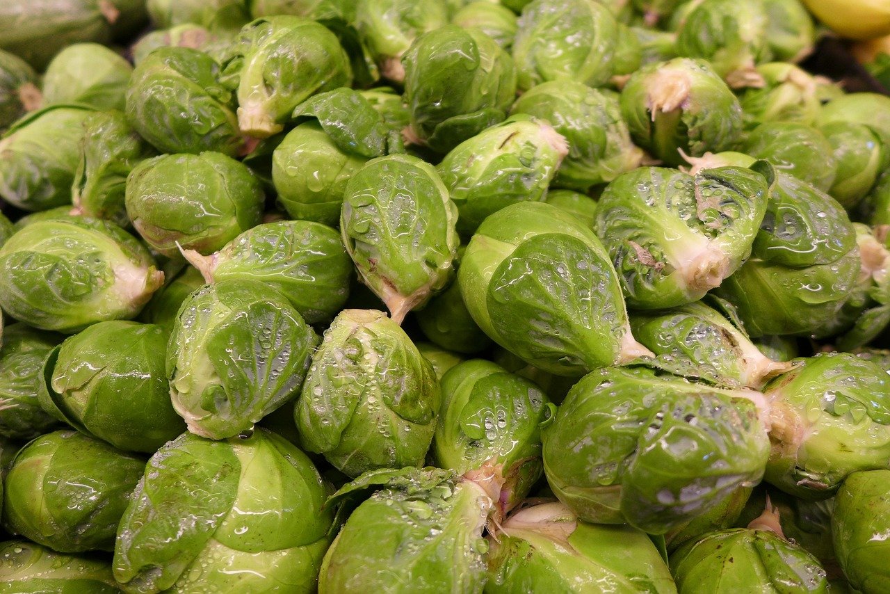 Diese Sorten sind ideal für deinen Garten