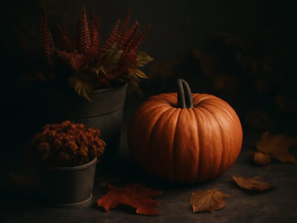 Selbstgemachte Herbstdeko für den Vorgarten in 6 Schritten