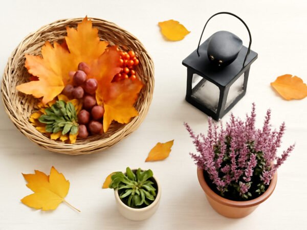 Selbstgemachte Herbstdeko für die Terrasse in 6 Schritten