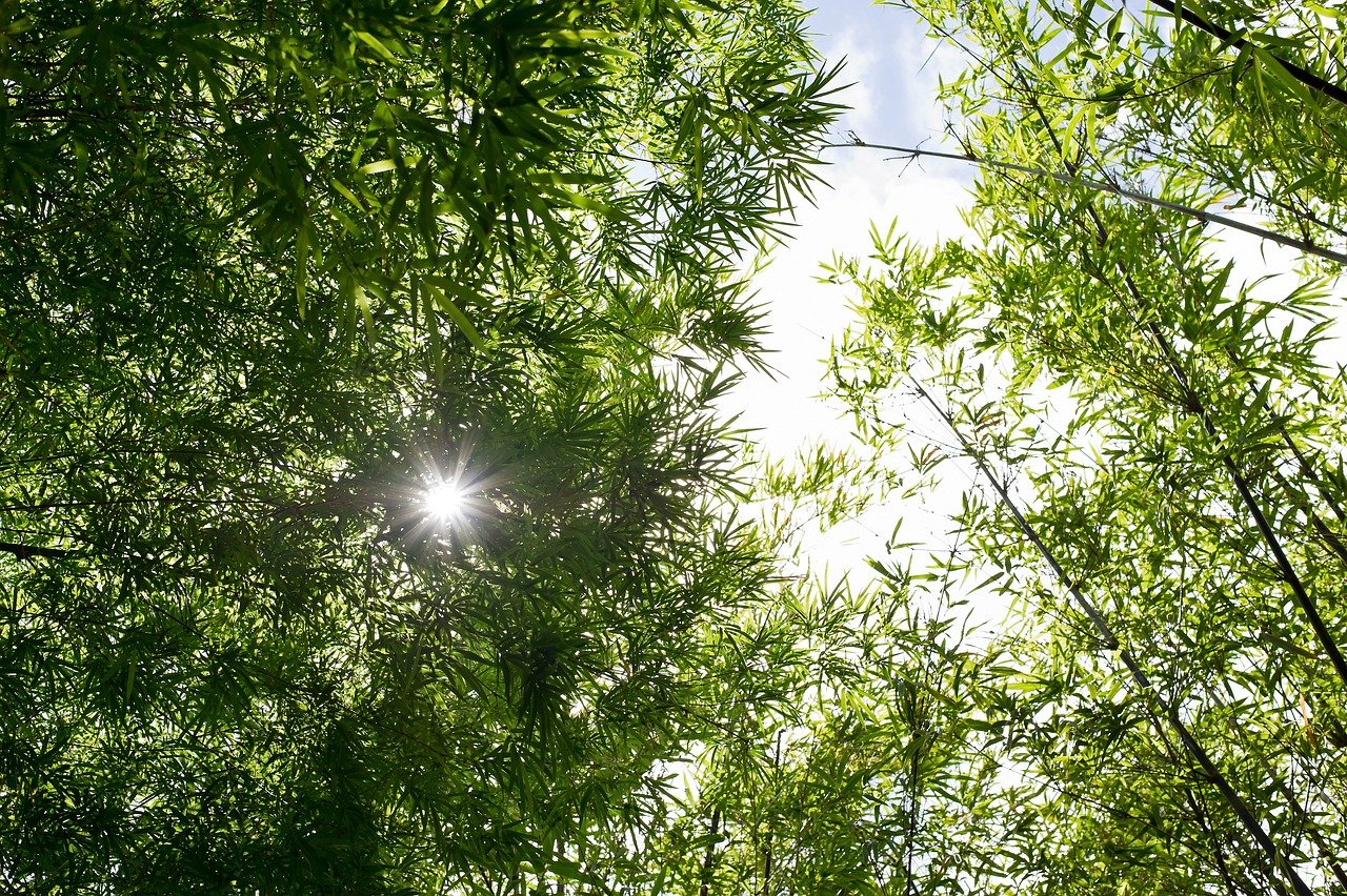 Welche Arten von Solar Lichterketten gibt es?