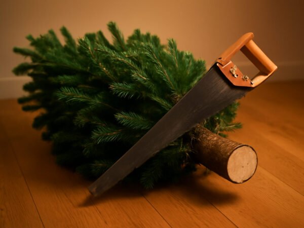 Tannenbaum selber Schlagen mit der Familie
