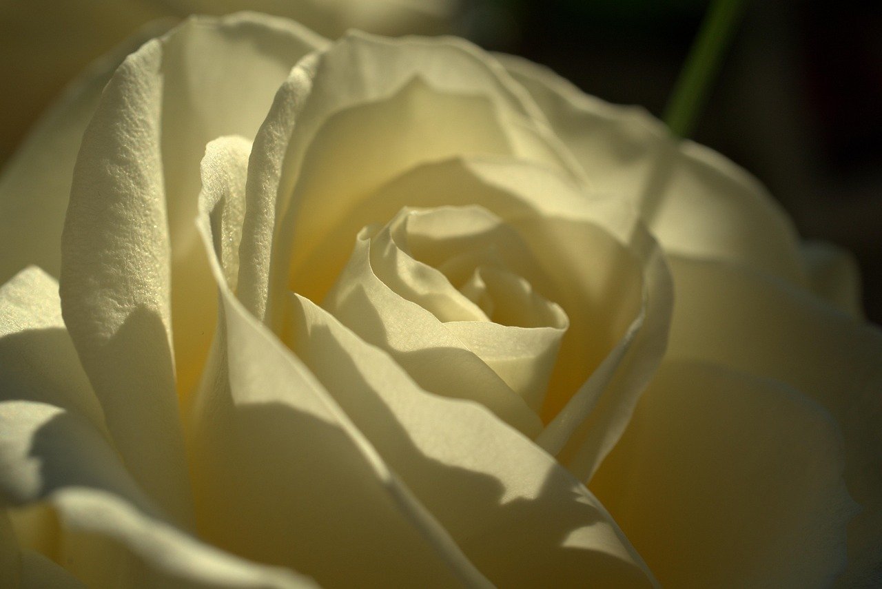 Wunderschöne Beleuchtung für den Valentinstag