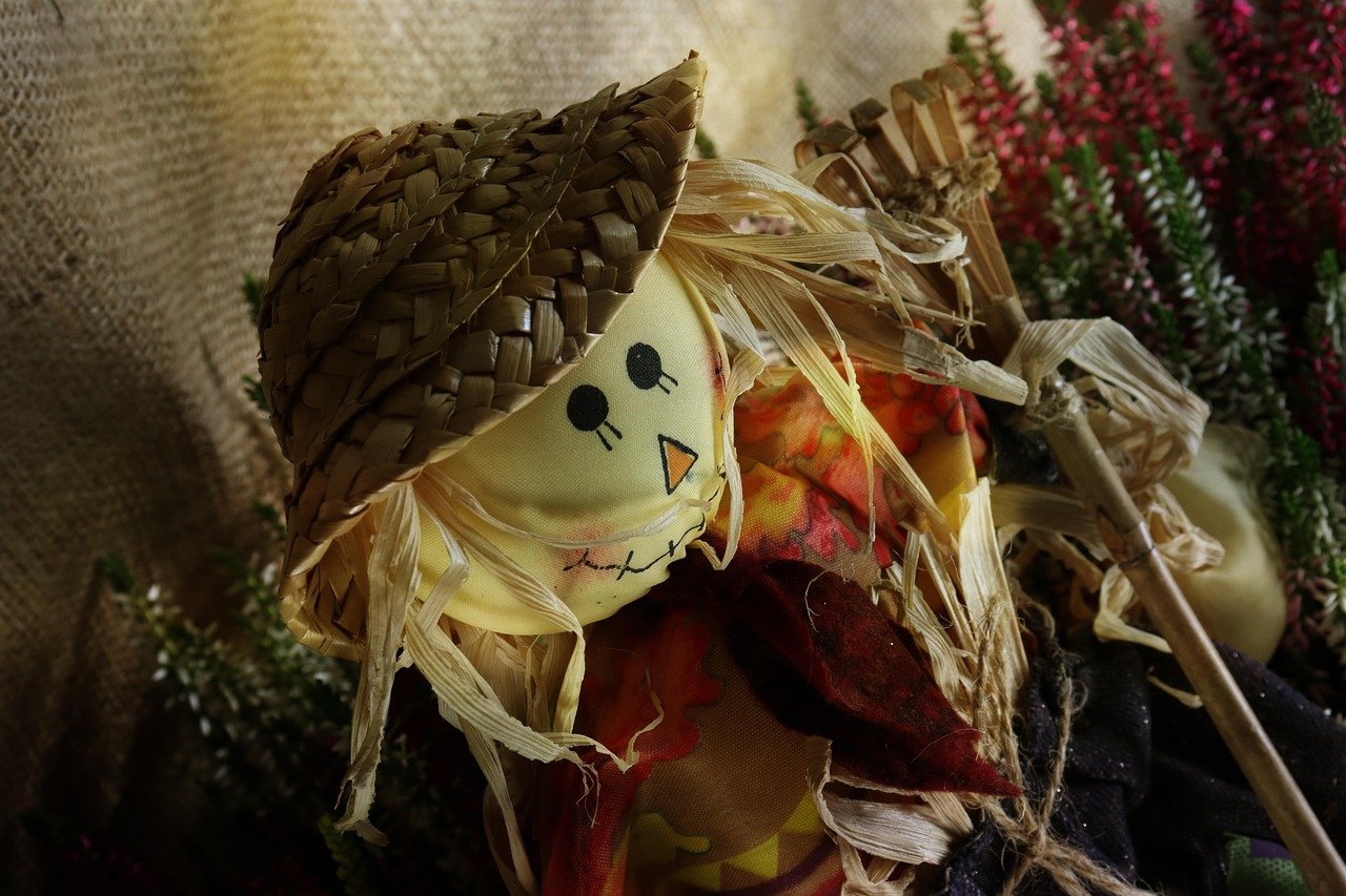 Vogelscheuche für Halloween Umgestalten in 6 Schritten