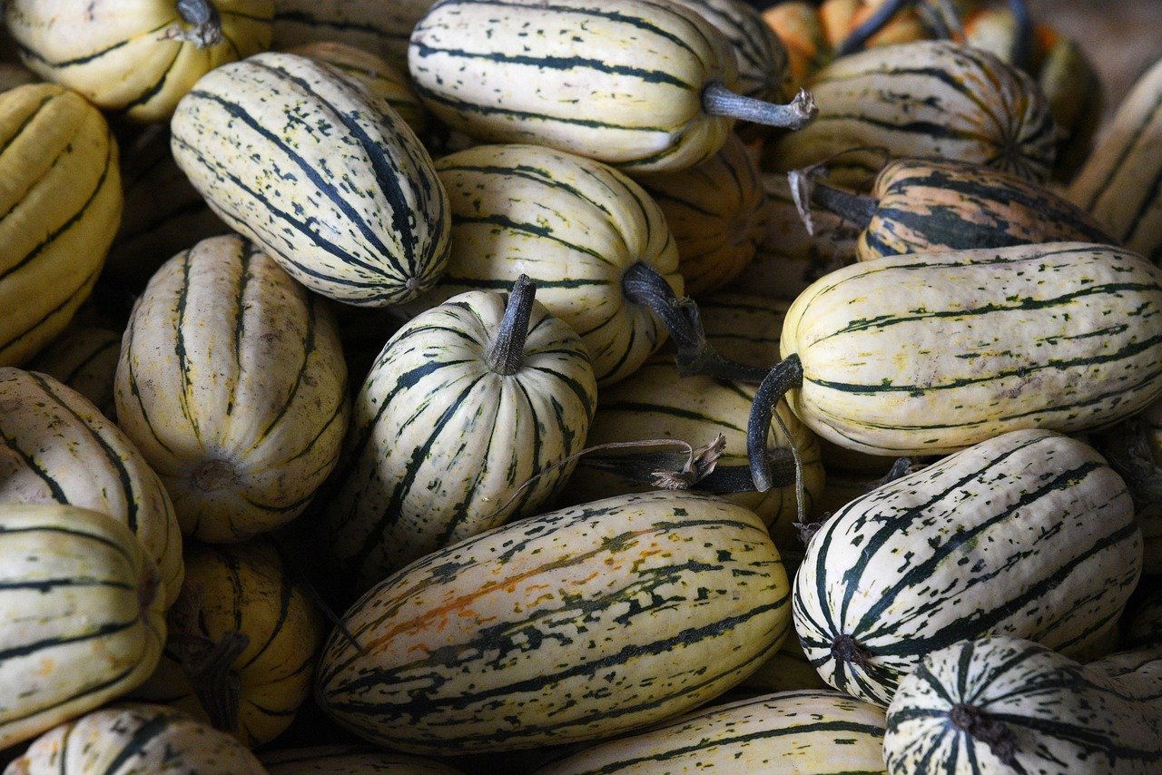 Wann Kürbisse pflanzen für die Halloween Ernte — Hero-Aufnahme