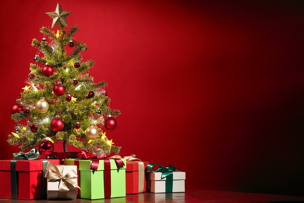 Weihnachtsbaum nach Weihnachten Einpflanzen in 4 Schritten