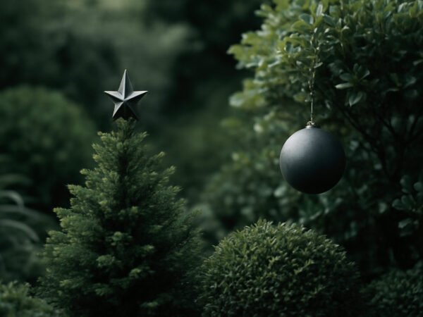 Weihnachtsdekoration Ideen für draußen wetterfest