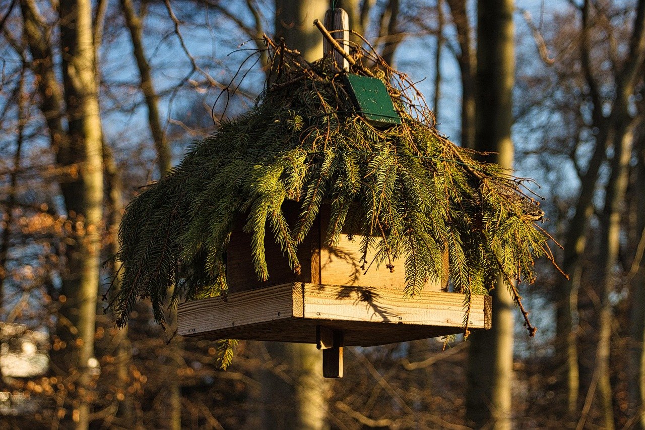 Winterschutz Kübelpflanzen — so geht es richtig