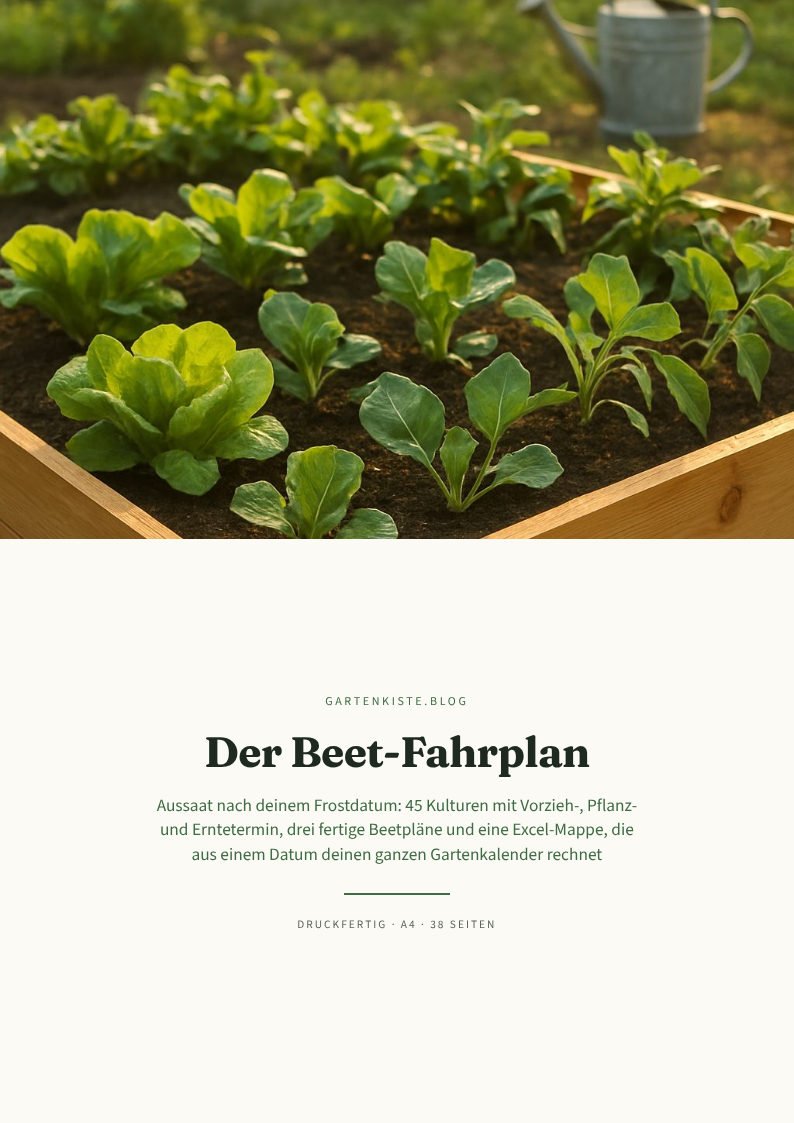 Der Beet-Fahrplan – Vorschau Seite 2